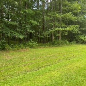 Photo #4 of Winfield, Pinetown, NC 0.9 acres