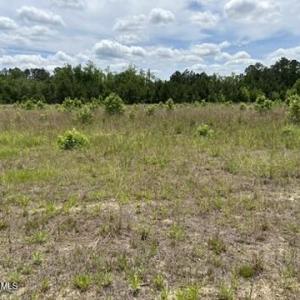 Photo #31 of Bethesda Church, Fairmont, NC 115.0 acres