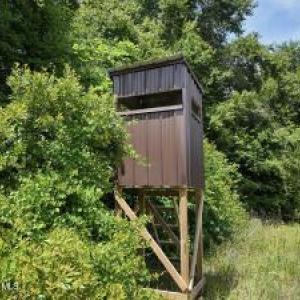 Photo #19 of Bethesda Church, Fairmont, NC 115.0 acres