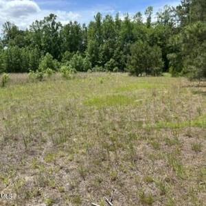 Photo #30 of Bethesda Church, Fairmont, NC 115.0 acres