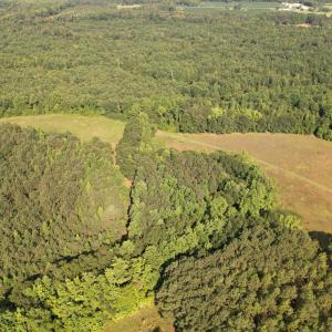 Photo #5 of Bethesda Church, Fairmont, NC 115.0 acres