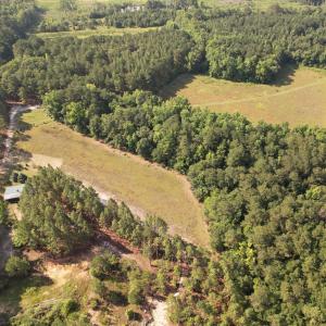 Photo #3 of Bethesda Church, Fairmont, NC 115.0 acres