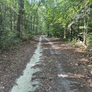 Photo #20 of Bethesda Church, Fairmont, NC 115.0 acres