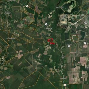 Photo #19 of Nc 33 Off, Aurora, NC 115.0 acres