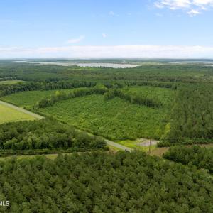 Photo #3 of Nc 33 Off, Aurora, NC 115.0 acres