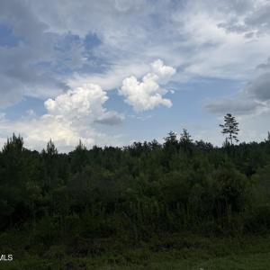 Photo #8 of Nc 33 Off, Aurora, NC 115.0 acres