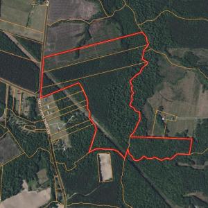 Photo #4 of Nc 33 Off, Aurora, NC 115.0 acres