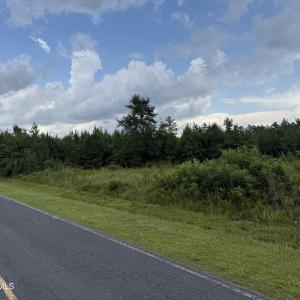 Photo #13 of Nc 33 Off, Aurora, NC 115.0 acres