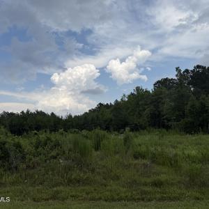 Photo #12 of Nc 33 Off, Aurora, NC 115.0 acres