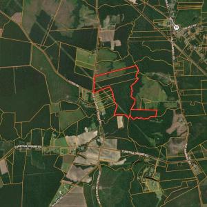 Photo #18 of Nc 33 Off, Aurora, NC 115.0 acres