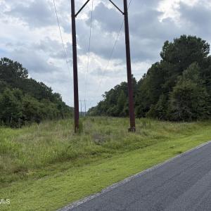 Photo #11 of Nc 33 Off, Aurora, NC 115.0 acres