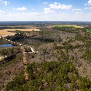 Photo #9 of Devane Farm, Harrells, NC 203.4 acres