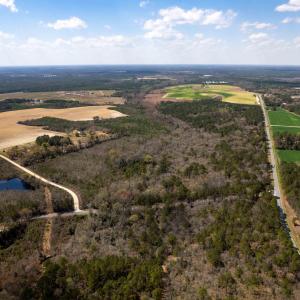 Photo #10 of Devane Farm, Harrells, NC 203.4 acres