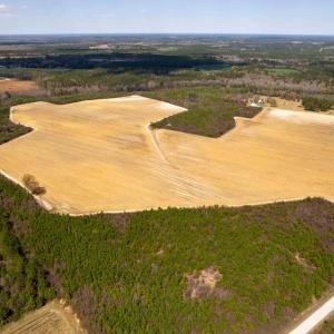 Photo #18 of Devane Farm, Harrells, NC 203.4 acres