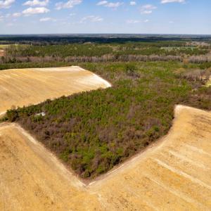 Photo #25 of Devane Farm, Harrells, NC 203.4 acres