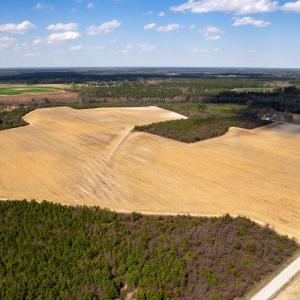 Photo #23 of Devane Farm, Harrells, NC 203.4 acres