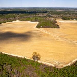 Photo #19 of Devane Farm, Harrells, NC 203.4 acres