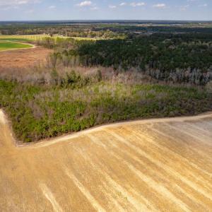 Photo #7 of Devane Farm, Harrells, NC 203.4 acres