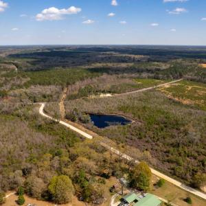 Photo #26 of Devane Farm, Harrells, NC 203.4 acres
