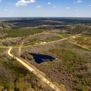 Photo #3 of Devane Farm, Harrells, NC 203.4 acres