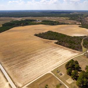 Photo #15 of Devane Farm, Harrells, NC 203.4 acres