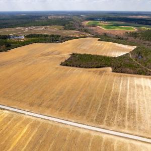 Photo #1 of Devane Farm, Harrells, NC 203.4 acres