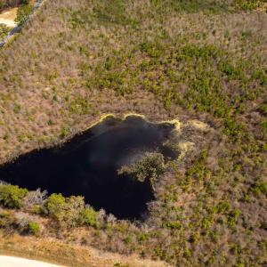 Photo #28 of Devane Farm, Harrells, NC 203.4 acres