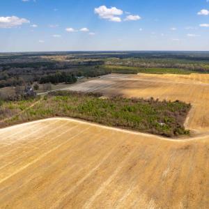 Photo #5 of Devane Farm, Harrells, NC 203.4 acres