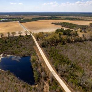 Photo #14 of Devane Farm, Harrells, NC 203.4 acres