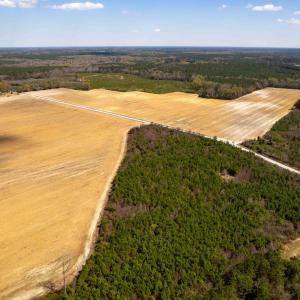 Photo #20 of Devane Farm, Harrells, NC 203.4 acres
