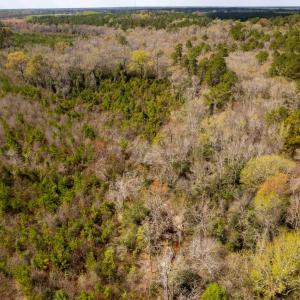 Photo #33 of Devane Farm, Harrells, NC 203.4 acres