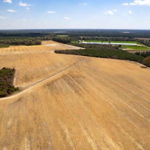Photo #4 of Devane Farm, Harrells, NC 203.4 acres