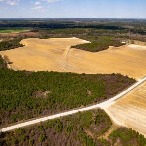 Photo #16 of Devane Farm, Harrells, NC 203.4 acres