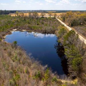 Photo #35 of Devane Farm, Harrells, NC 203.4 acres
