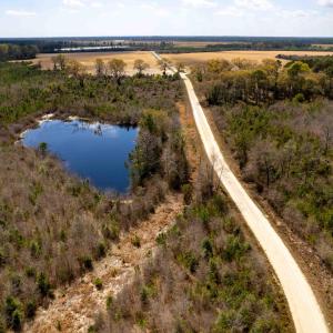 Photo #34 of Devane Farm, Harrells, NC 203.4 acres