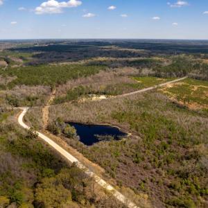 Photo #27 of Devane Farm, Harrells, NC 203.4 acres