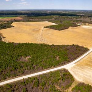 Photo #17 of Devane Farm, Harrells, NC 203.4 acres
