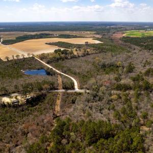 Photo #11 of Devane Farm, Harrells, NC 203.4 acres