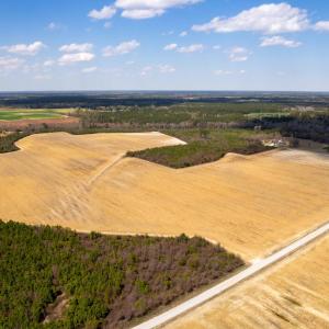 Photo #24 of Devane Farm, Harrells, NC 203.4 acres