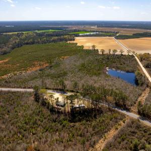 Photo #12 of Devane Farm, Harrells, NC 203.4 acres