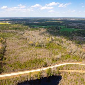 Photo #31 of Devane Farm, Harrells, NC 203.4 acres