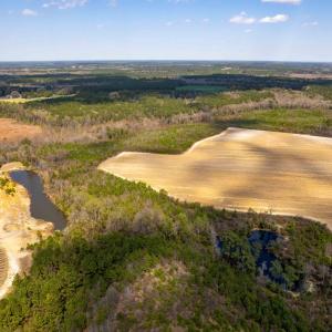 Photo #21 of Devane Farm, Harrells, NC 203.4 acres
