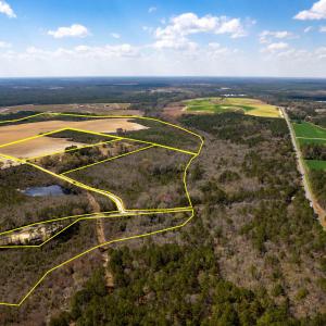 Photo #2 of Devane Farm, Harrells, NC 203.4 acres