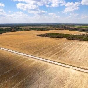 Photo #6 of Devane Farm, Harrells, NC 203.4 acres