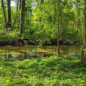 Photo #7 of 1209 Brices Creek, New Bern, NC 1.8 acres