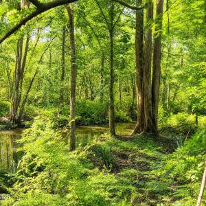 Photo #6 of 1209 Brices Creek, New Bern, NC 1.8 acres