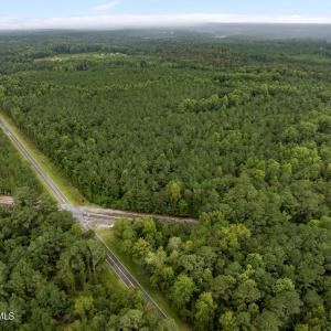 Photo #3 of Old Sandhill, Edward, NC 153.0 acres