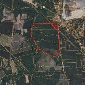 Photo #21 of Old Sandhill, Edward, NC 153.0 acres