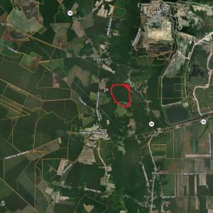 Photo #22 of Old Sandhill, Edward, NC 153.0 acres