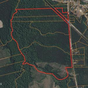 Photo #20 of Old Sandhill, Edward, NC 153.0 acres